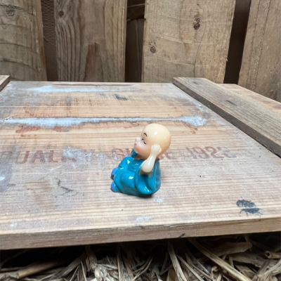 Blue Buddha BOTANICAL BESTIES PLANT COMPANIONS