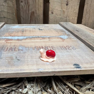 Red Snail BOTANICAL BESTIES PLANT COMPANIONS