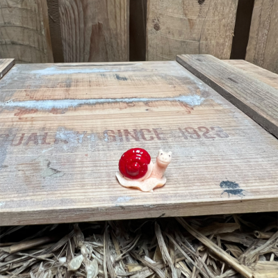 Red Snail BOTANICAL BESTIES PLANT COMPANIONS