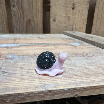 Purple Snail BOTANICAL BESTIES PLANT COMPANIONS