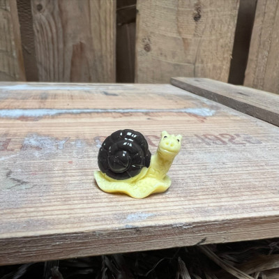 Brown Snail BOTANICAL BESTIES PLANT COMPANIONS