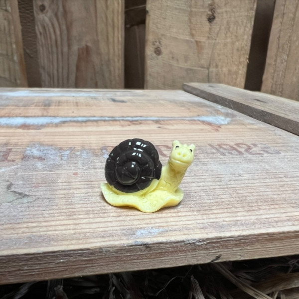 Brown Snail BOTANICAL BESTIES PLANT COMPANIONS