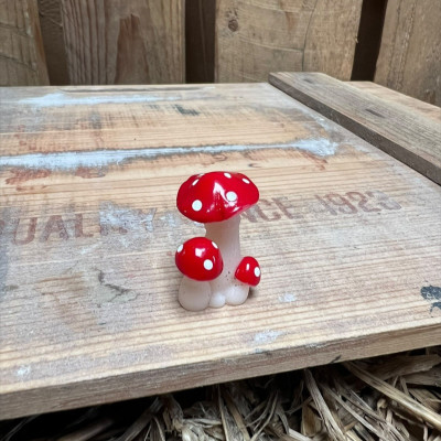 Red and White spotted Mushroom BOTANICAL BESTIES PLANT COMPANIONS