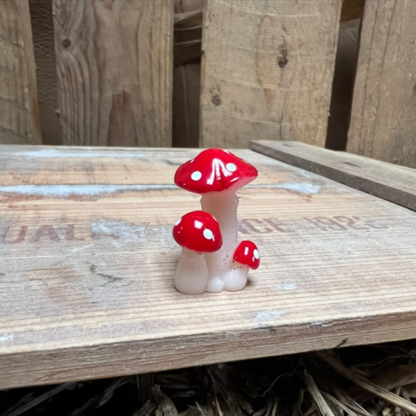 Red and White spotted Mushroom BOTANICAL BESTIES PLANT COMPANIONS