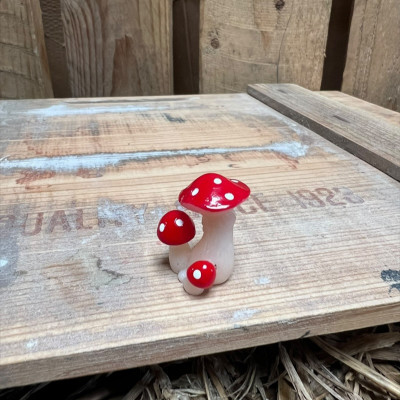Red and White spotted Mushroom BOTANICAL BESTIES PLANT COMPANIONS