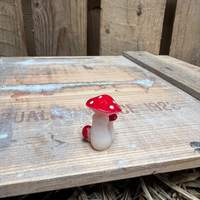 Red and White spotted Mushroom BOTANICAL BESTIES PLANT COMPANIONS