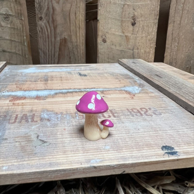 Purple and White spotted Mushroom BOTANICAL BESTIES PLANT COMPANIONS