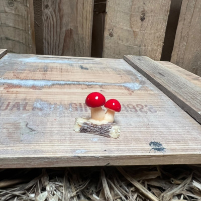 Red Mushroom on Log BOTANICAL BESTIES PLANT COMPANIONS