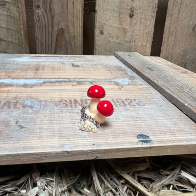Red Mushroom on Log BOTANICAL BESTIES PLANT COMPANIONS