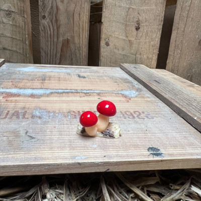 Red Mushroom on Log BOTANICAL BESTIES PLANT COMPANIONS
