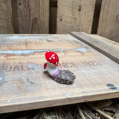 Red Mushroom on stump BOTANICAL BESTIES PLANT COMPANIONS