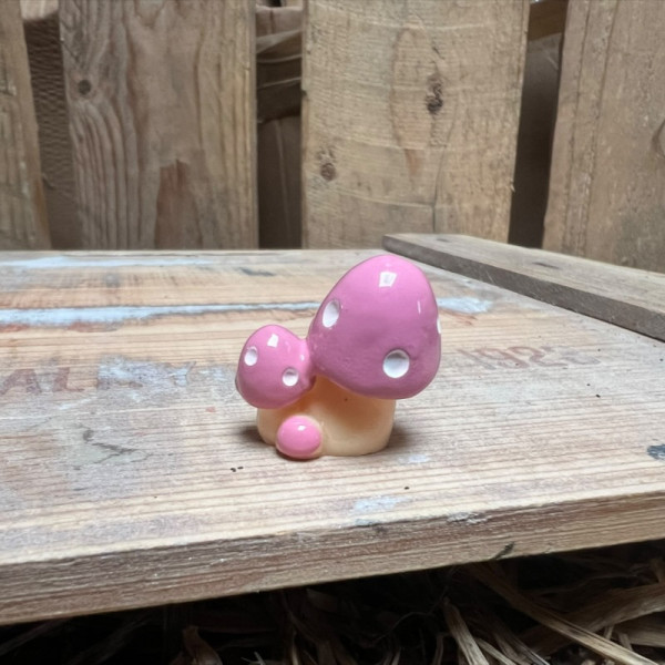 Pink Multi head Mushroom BOTANICAL BESTIES PLANT COMPANIONS