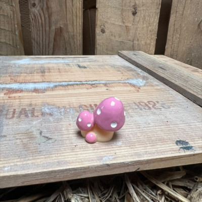 Pink Multi head Mushroom BOTANICAL BESTIES PLANT COMPANIONS