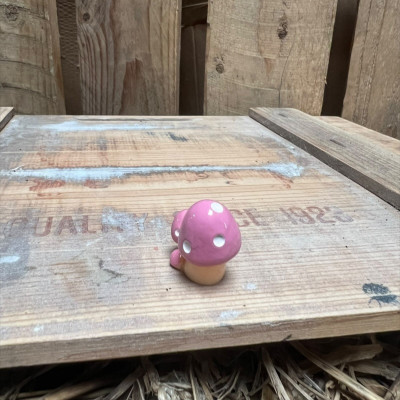 Pink Multi head Mushroom BOTANICAL BESTIES PLANT COMPANIONS