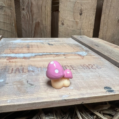 Pink Multi head Mushroom BOTANICAL BESTIES PLANT COMPANIONS