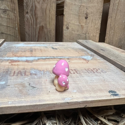 Pink Multi head Mushroom BOTANICAL BESTIES PLANT COMPANIONS