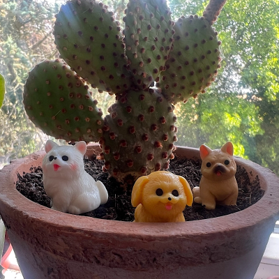 BOTANICAL BESTIES - PLANT COMPANIONS DOGS