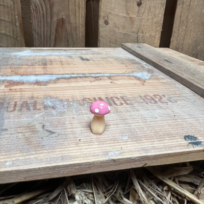 Mini Pink Mushroom BOTANICAL BESTIES PLANT COMPANIONS
