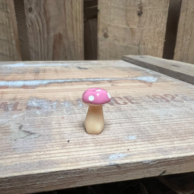 Mini Pink Mushroom BOTANICAL BESTIES PLANT COMPANIONS