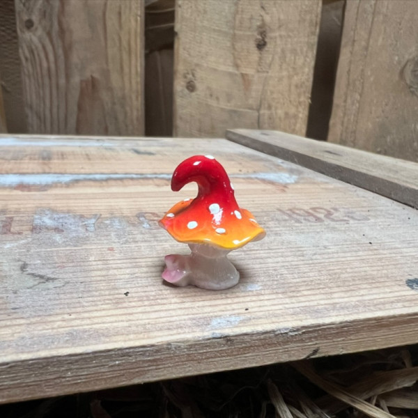 Crazy Red Mushroom BOTANICAL BESTIES PLANT COMPANIONS