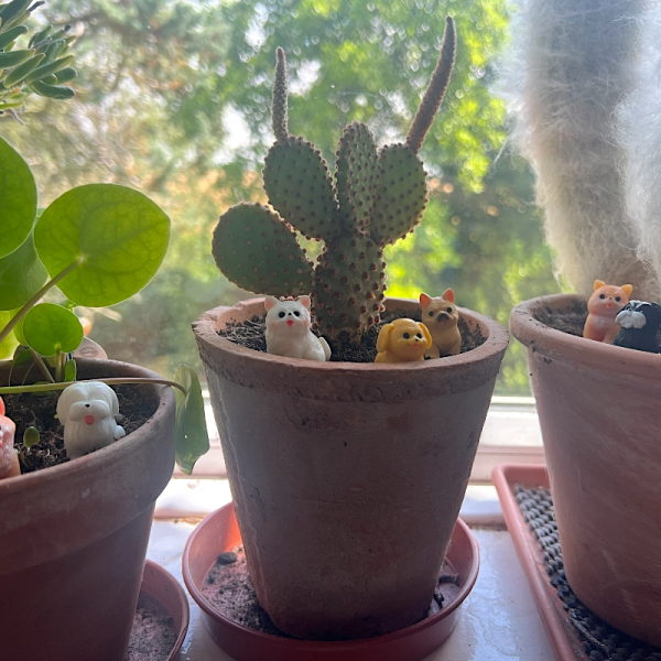 BOTANICAL BESTIES - PLANT COMPANIONS DOGS