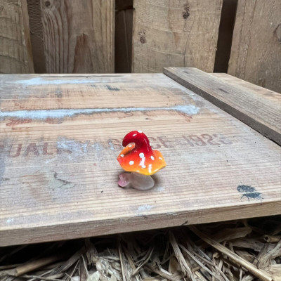 Crazy Red Mushroom BOTANICAL BESTIES PLANT COMPANIONS