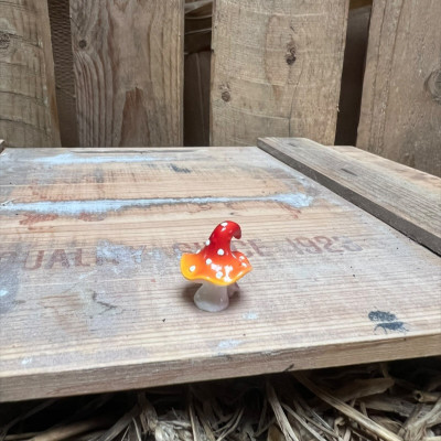 Crazy Red Mushroom BOTANICAL BESTIES PLANT COMPANIONS