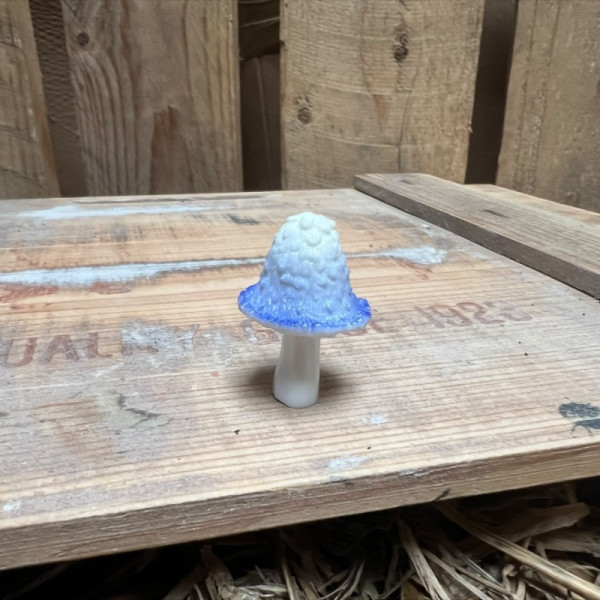 White and Blue Mushroom BOTANICAL BESTIES PLANT COMPANIONS