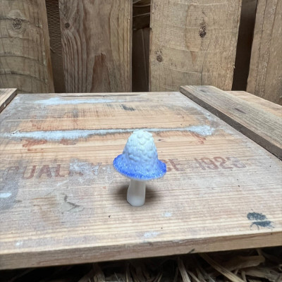 White and Blue Mushroom BOTANICAL BESTIES PLANT COMPANIONS
