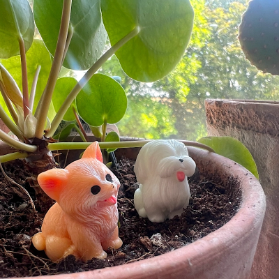 BOTANICAL BESTIES - PLANT COMPANIONS DOGS