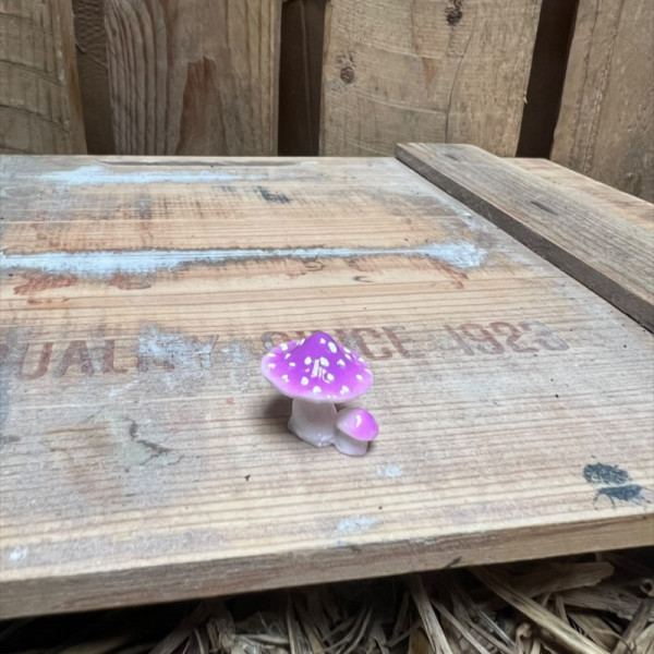 Fairy Purple and white spotted Mushroom BOTANICAL BESTIES PLANT COMPANIONS
