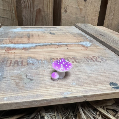 Fairy Purple and white spotted Mushroom BOTANICAL BESTIES PLANT COMPANIONS