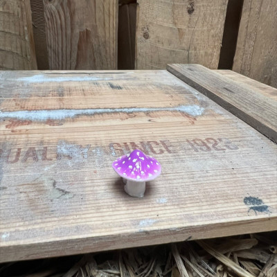 Fairy Purple and white spotted Mushroom BOTANICAL BESTIES PLANT COMPANIONS