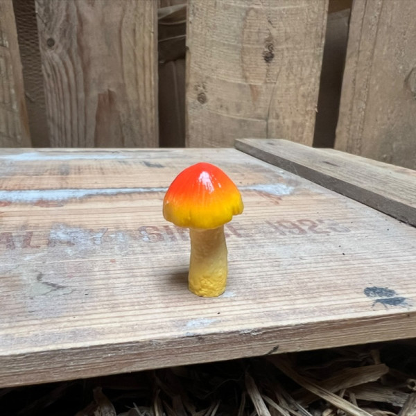Orange and Yellow Mushroom BOTANICAL BESTIES PLANT COMPANIONS