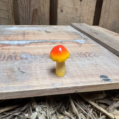 Orange and Yellow Mushroom BOTANICAL BESTIES PLANT COMPANIONS