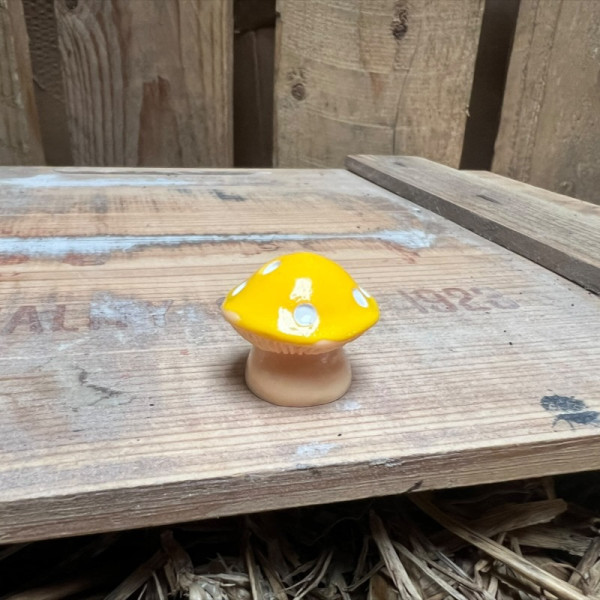 Fat Yellow Mushroom BOTANICAL BESTIES PLANT COMPANIONS
