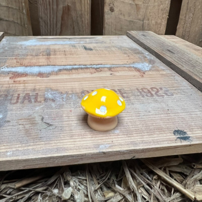 Fat Yellow Mushroom BOTANICAL BESTIES PLANT COMPANIONS