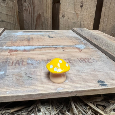 Fat Yellow Mushroom BOTANICAL BESTIES PLANT COMPANIONS