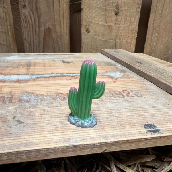 Cactus 1 BOTANICAL BESTIES PLANT COMPANIONS