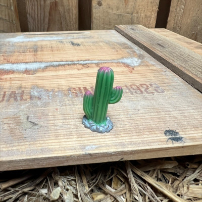 Cactus 1 BOTANICAL BESTIES PLANT COMPANIONS