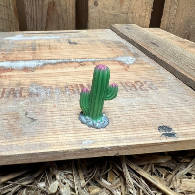 Cactus 1 BOTANICAL BESTIES PLANT COMPANIONS