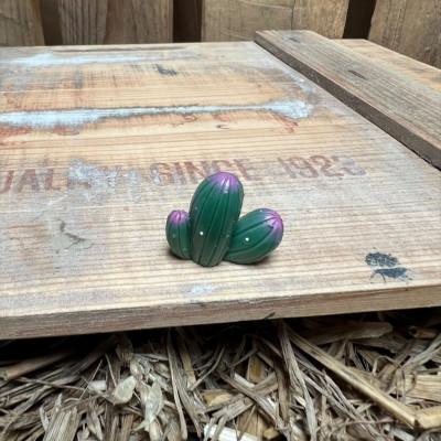 Cactus 2 BOTANICAL BESTIES PLANT COMPANIONS