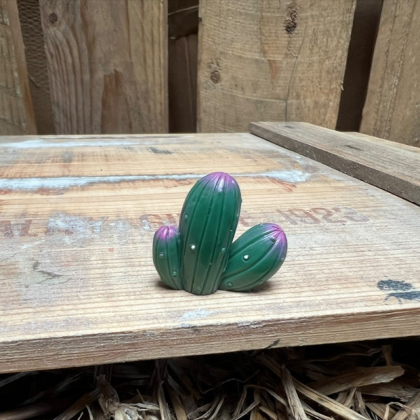 Cactus 2 BOTANICAL BESTIES PLANT COMPANIONS