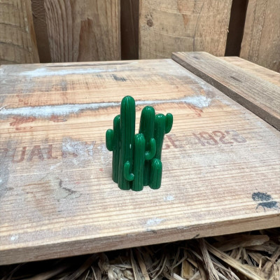 Cactus 6 BOTANICAL BESTIES PLANT COMPANIONS