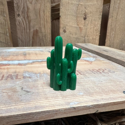Cactus 6 BOTANICAL BESTIES PLANT COMPANIONS