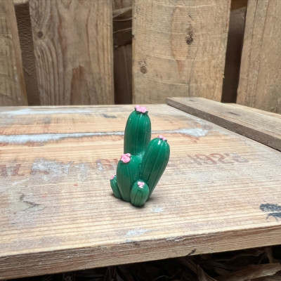 Cactus 7 BOTANICAL BESTIES PLANT COMPANIONS