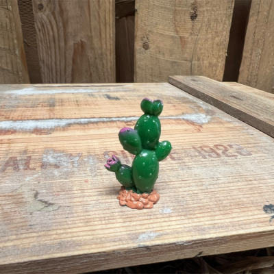 Cactus 8 BOTANICAL BESTIES PLANT COMPANIONS