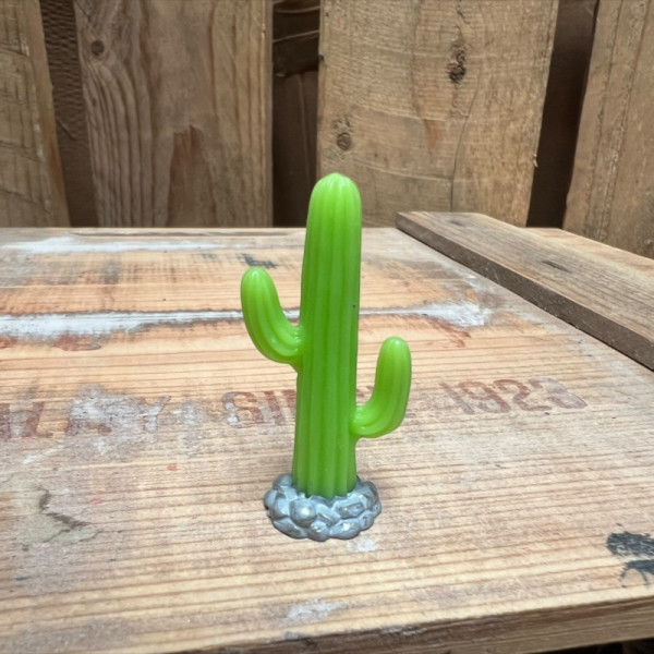 Cactus 9 BOTANICAL BESTIES PLANT COMPANIONS