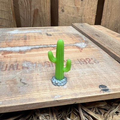 Cactus 9 BOTANICAL BESTIES PLANT COMPANIONS