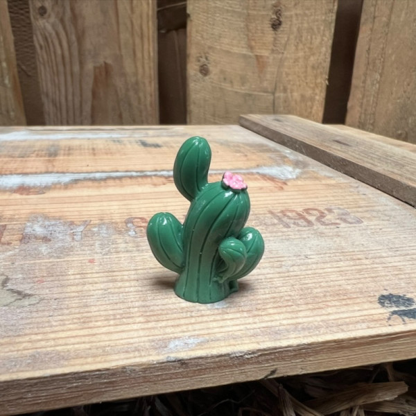 Cactus 10 BOTANICAL BESTIES PLANT COMPANIONS